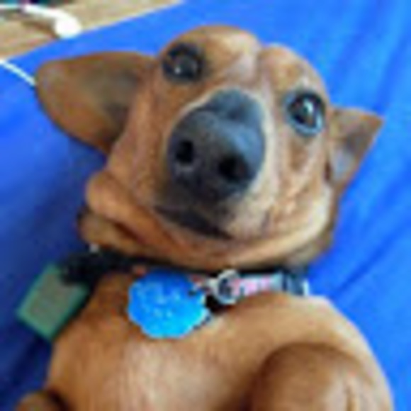 Meet your Posher, Elaina - Picture 1 of 1